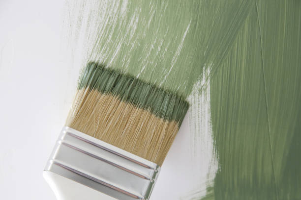 Best Mold Remediation for Healthcare Facilities  in Lake Panasoffkee, FL