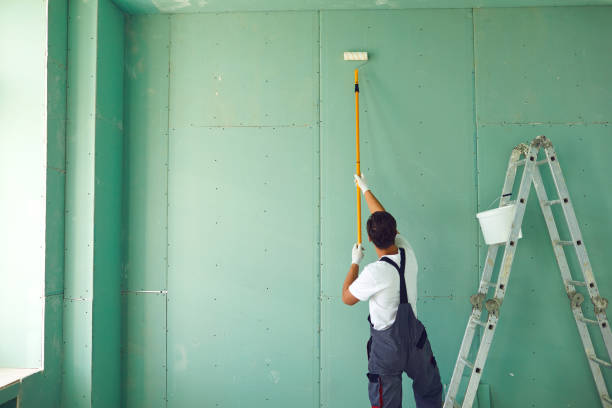 Best Emergency Mold Remediation  in Lake Panasoffkee, FL