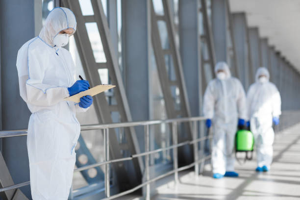 Best Black Mold Removal  in Lake Panasoffkee, FL