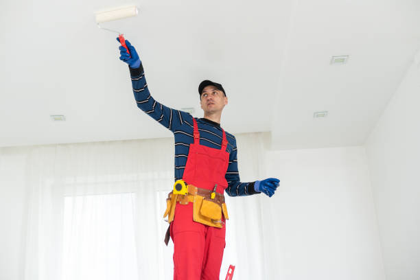 Best Asbestos and Lead Testing During Mold Inspection  in Lake Panasoffkee, FL