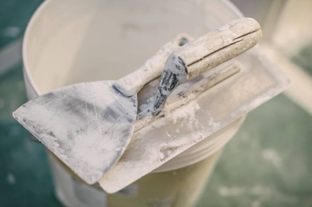 Best Asbestos and Lead Testing During Mold Inspection  in Lake Panasoffkee, FL